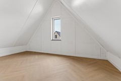 53-Moerasorchidee 13 - Lelystad.jpg